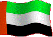 UAE FLAG